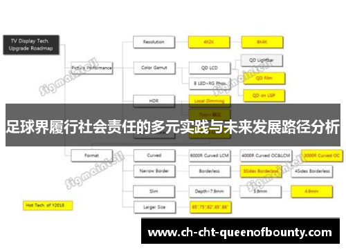 足球界履行社会责任的多元实践与未来发展路径分析
