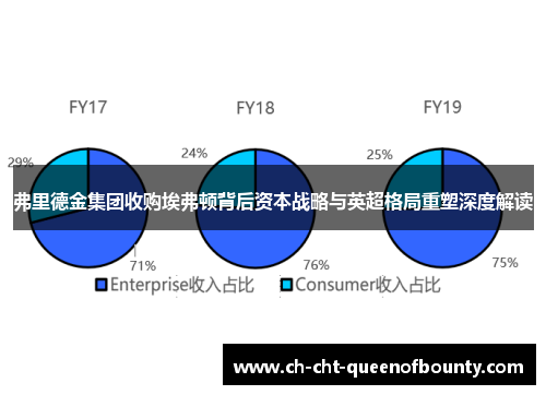 弗里德金集团收购埃弗顿背后资本战略与英超格局重塑深度解读