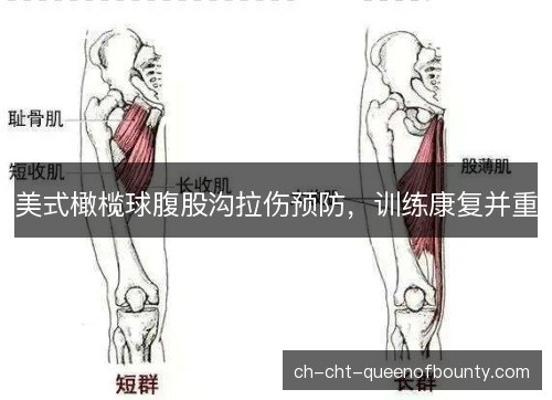 美式橄榄球腹股沟拉伤预防，训练康复并重